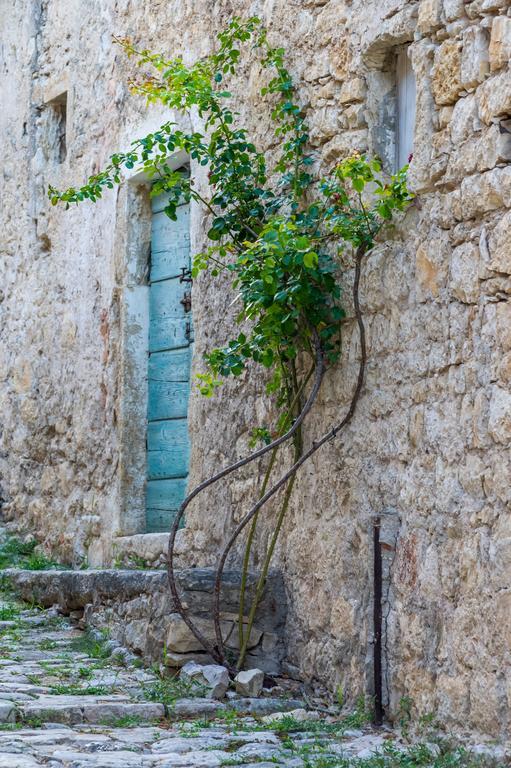 Aparthotel Castrum Novum Novigrad Istria Exteriör bild